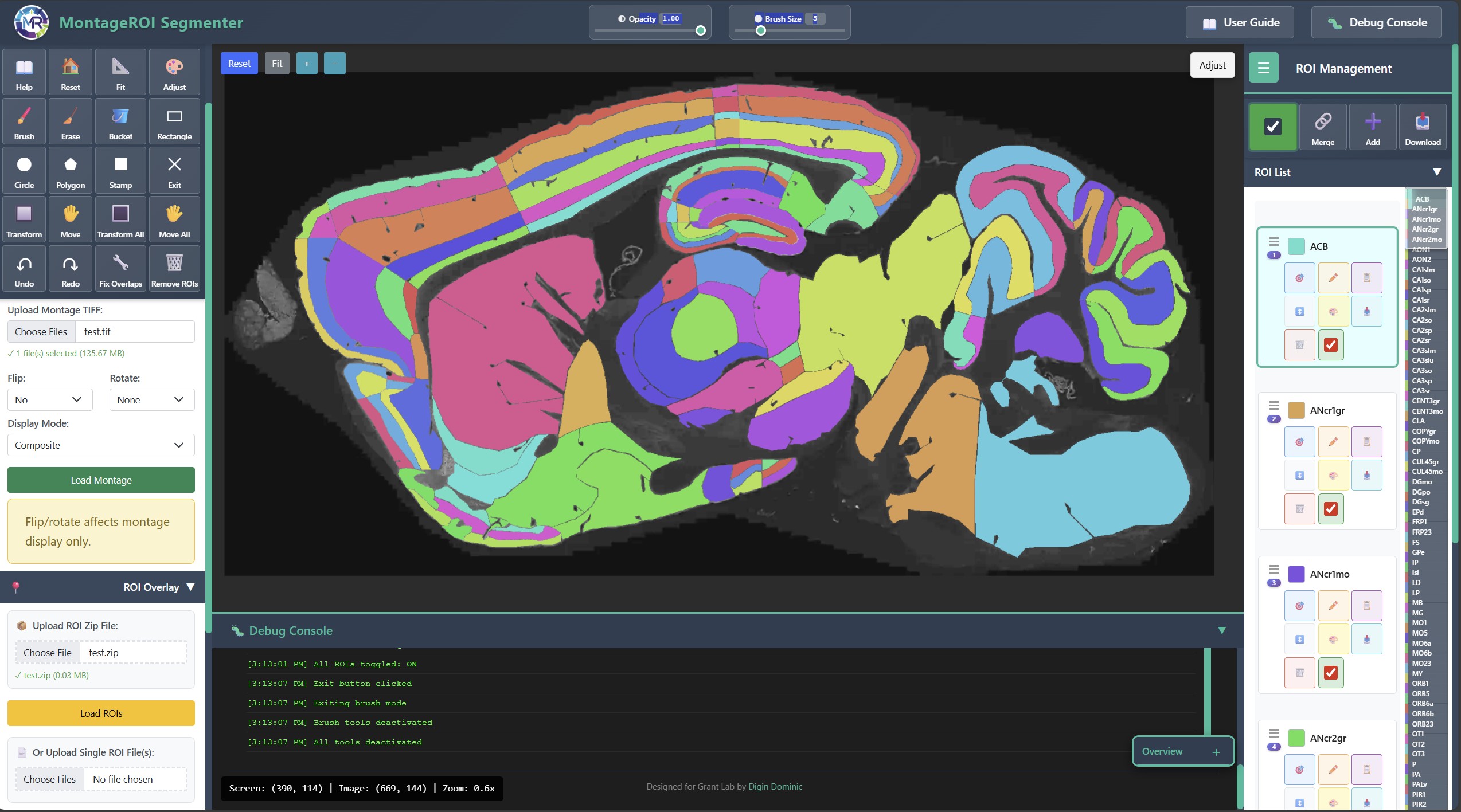 MontageROI Segmenter