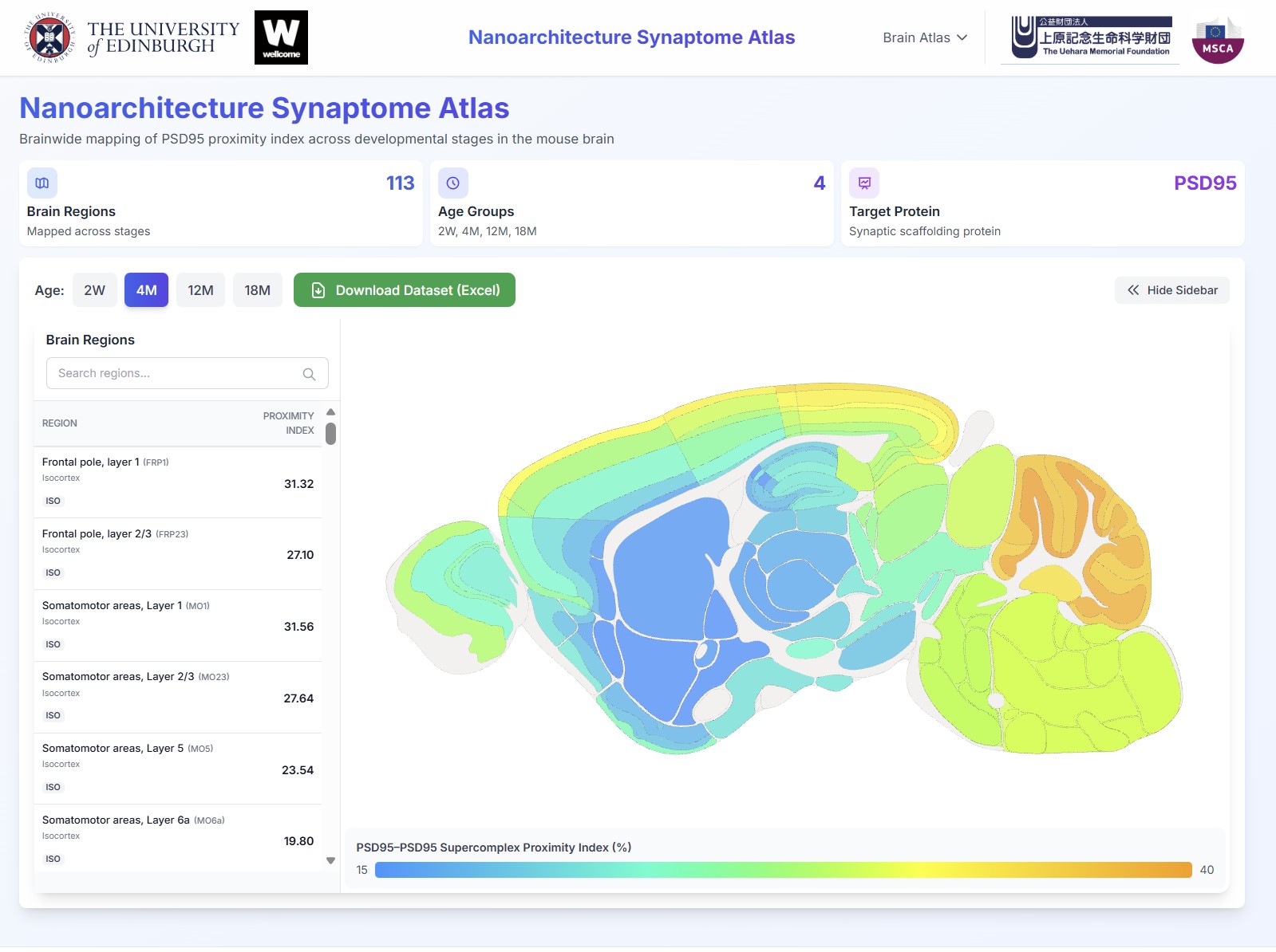 Nanoarchitecture Synaptome Atlas - Interactive Brain Visualization