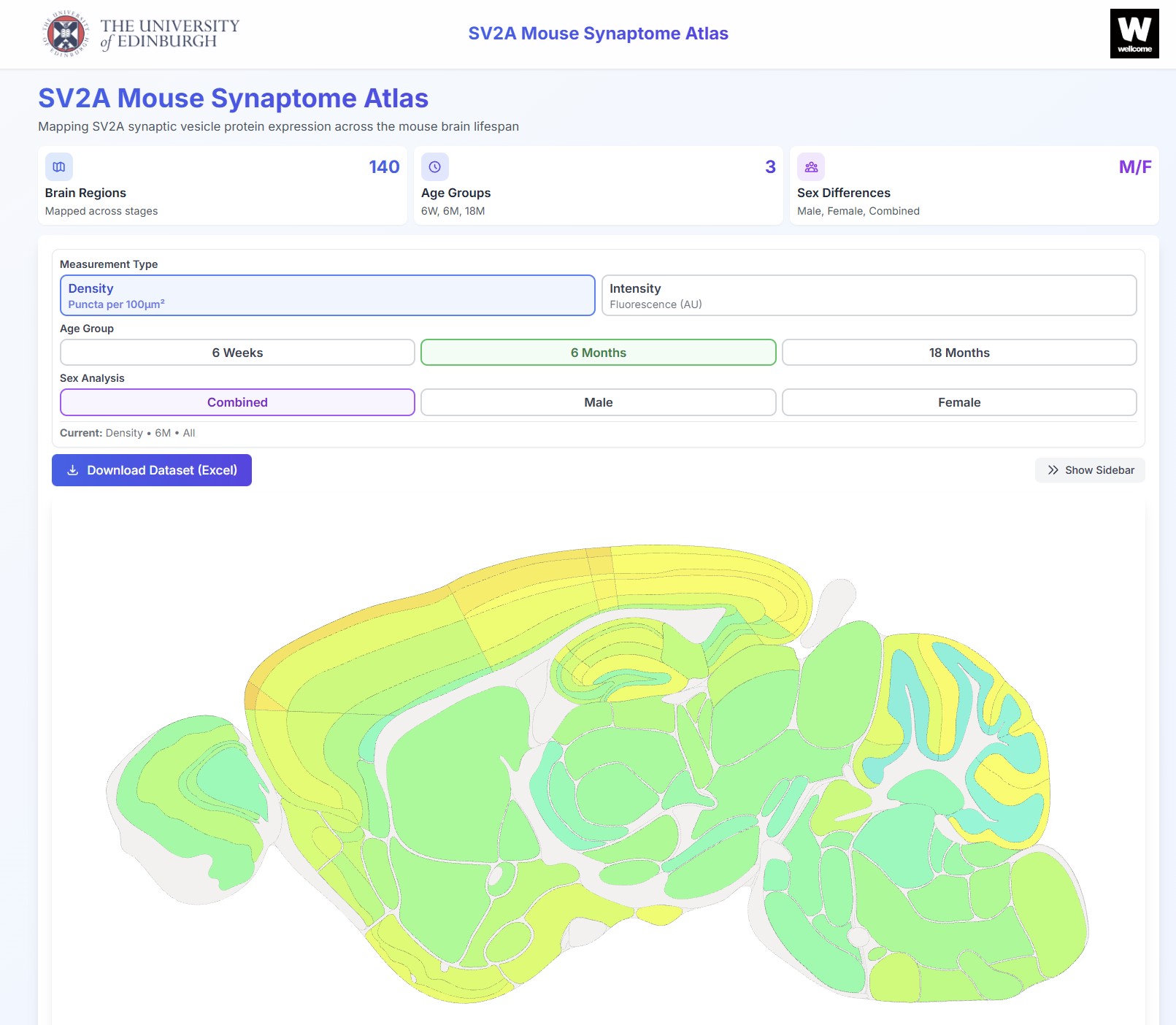 SV2A Mouse Synaptome Atlas - Synaptic Diversity Visualization